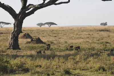 DSC_3798 (Large).JPG